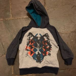 Little boys Gymboree hoodie